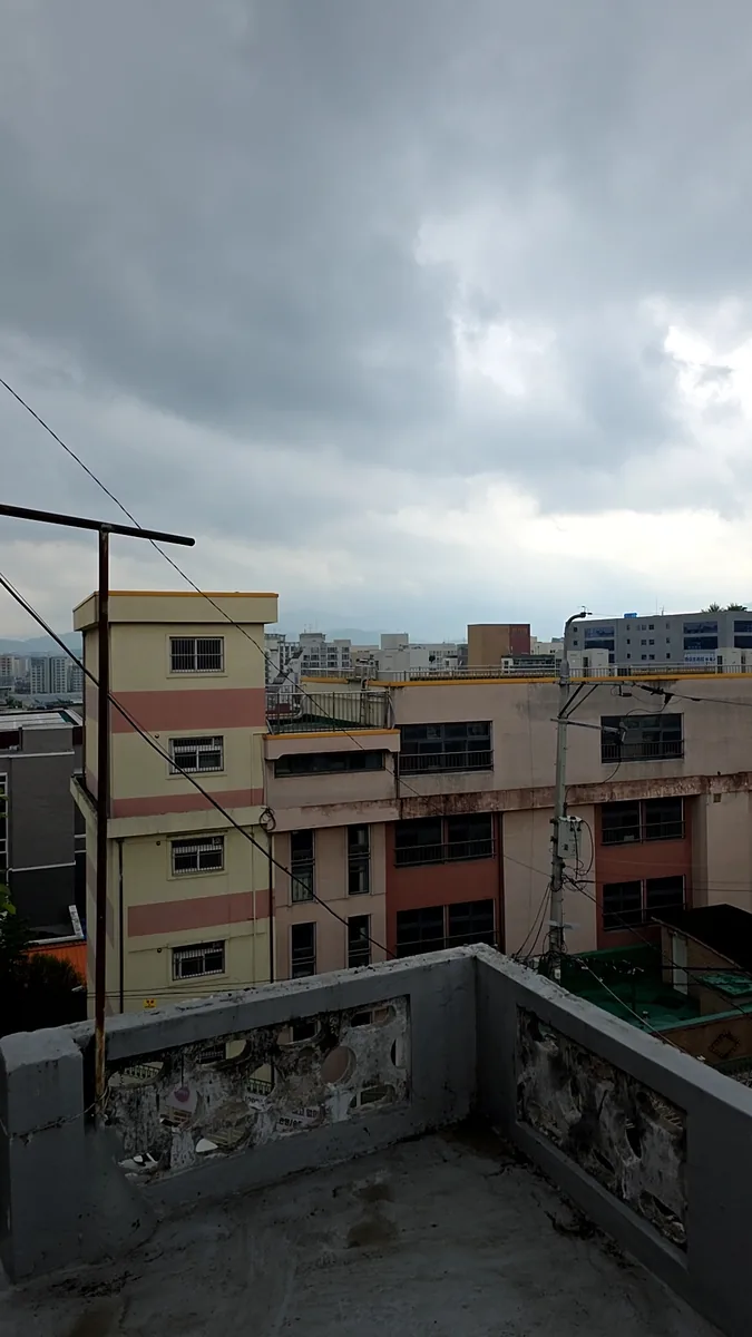 송파 빌라 소나무전지