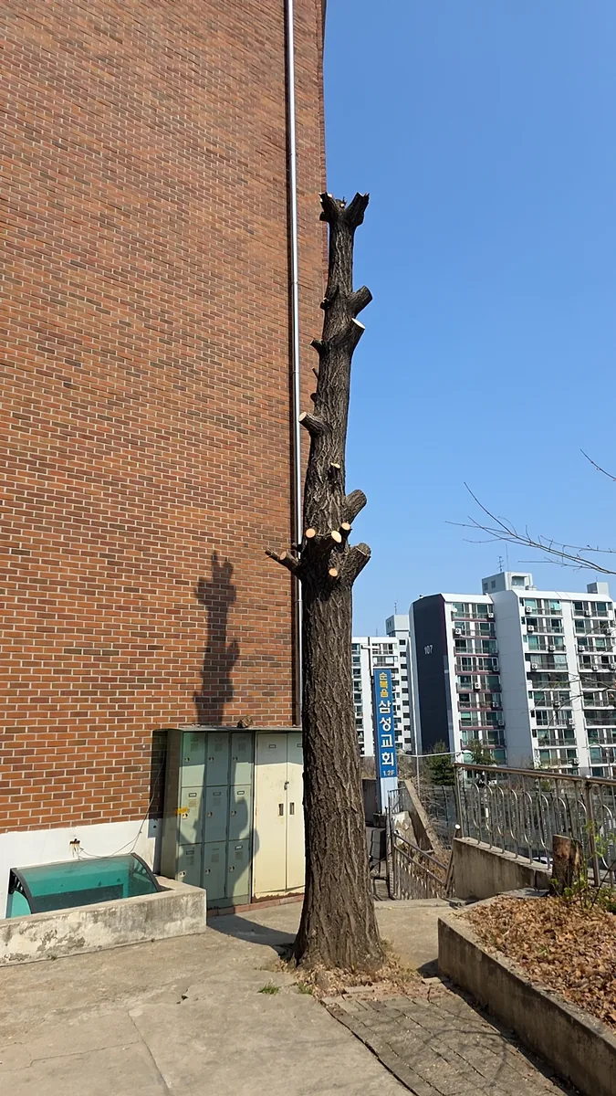 용인 주택 목련전지
