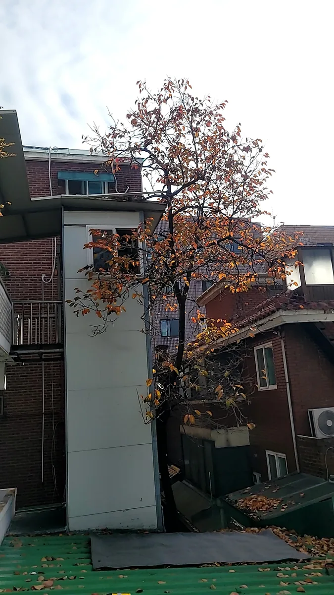 하남 위험목전지 시공 전